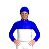MEDIUM BLUE,WHITE HALVED