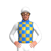 BLUE,GOLD CHECK,WHITE SLEEVES,CAP