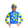 BLUE,YELLOW SPOTS, HOOPS SLEEVES, QUARTERS CAP