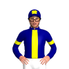 NAVY BLUE, YELLOW STRIPE, NAVY BLUE SLEEVES ,YELLOW ARMBANDS, NAVY BLUE CAP ,YELLOW FOUR LEAF CLOVER