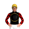 BLACK,GOLD CIRCLE,RED CHECKS SLEEVES,GOLD CAP