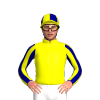 YELLOW, SLEEVES, NAVY STRIPES, YELLOW CAP, NAVY QUARTERS