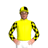 YELLOW,BLACK CHECKS SLEEVES, QUARTERS CAP