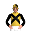 GOLD,BLACK CROSSED SASHES,SLEEVES, QUARTERS CAP