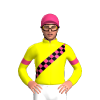 Yellow, Pink And Black Checked Sash And Armbands, Pink Cap