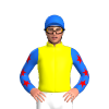 Yellow, Blue Sleeves, Red Stars, Blue Cap