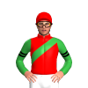 Red, Green Sash, Green Sleeves, Black Double Armbands