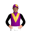 Purple, Gold V And Band, Black Sleeves, Purple And Gold Quartered Cap