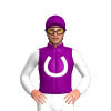 Purple, White Horse Shoe And Head Motif, Three Motifs On Sleeves