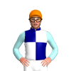 Navy Blue, White Quarters, Pale Blue Sleeves, Orange Cap