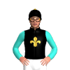 Black, Old Gold Fleur De Lys, Turquoise Sleeves, Old Gold Pom Pom