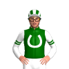 Dark Green, White Horseshoe And Sleeves, Dark Green Double Armbands, White Cap, Dark Green Stripes