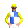 Royal Blue And White Quarters, Yellow Sleeves And Cap