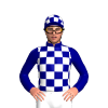 Navy, White Checks, Checked Cap