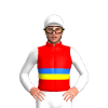 Red, Blue, Yellow And Green Bands, White Sleeves And Cap
