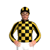 Black And Gold Checks, Striped Sleeves And Cap