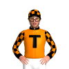 Orange, Black T, Collar And Cuffs, Checked Sleeves And Cap, Black Peak