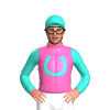 Hot Pink, Turquoise Horseshoe And Head, Turquoise Sleeves, Hot Pink Motifs, Turquoise Motifs Cap