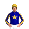 Navy Blue, Old Gold Star, Striped Sleeves, Star Cap