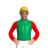 Emerald Green, Gold Dragon Fly Motif, Red Sleeves, Gold Cap