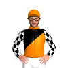 Orange, Black Diagonal Halves, Black And White Checked Sleeves