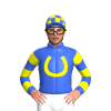 Royal Blue, Yellow Horseshoe And Head, Hooped Sleeves, Checked Cap