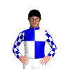 MEDIUM BLUE, WHITE QUARTERS, CHECKS SLEEVES, Black cap