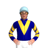 NAVY BLUE, SUNGLOW VEE, CHEVRONS SLEEVES, Light blue cap
