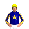NAVY, SUNGLOW STAR, STRIPES SLEEVES, CUFFS, Yellow cap