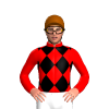 RED, BLACK DIAMOND CHECKS, RED SLEEVES, Brown cap