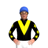 BLACK, YELLOW VEE, BLACK SLEEVES, YELLOW STARS SLEEVES, Royal Blue cap