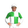 GREEN, WHITE QUARTERS, WHITE SLEEVES, GREEN HALVED, WHITE COLLAR, White cap