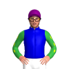 MEDIUM BLUE, YELLOW DIAMOND HOOP, GREEN SLEEVES, YELLOW DIAMOND STRIPE, Purple cap