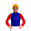 NAVY, YELLOW FIVE STARS, RED SLEEVES, Orange cap