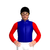 NAVY, YELLOW FIVE STARS, RED SLEEVES, Black cap