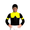 YELLOW, BLACK HALVED , BLACK DIAMOND BAND, BLACK SLEEVES, YELLOW ARMBAND,YELLOW COLLAR, Black cap