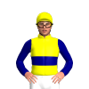 YELLOW, NAVY DOUBLE BAND, SLEEVES, Yellow cap