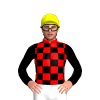 RED, BLACK CHECKS, BLACK SLEEVES, Yellow cap