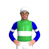 GREEN, WHITE DOUBLE BAND, MEDIUM BLUE SLEEVES, WHITE ARMBANDS, White cap