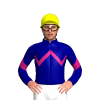NAVY, MAGENTA ZIGZAG CHEVRON, NAVY SLEEVES, MAGENTA CHEVRON, Yellow cap