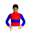 RED, MEDIUM BLUE DOUBLE BAND, MEDIUM BLUE SLEEVES, Black cap