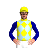 Jockey Silk