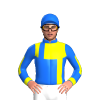 Jockey Silk