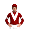 Jockey Silk