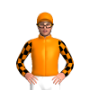 Jockey Silk