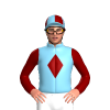 Jockey Silk