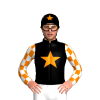 Jockey Silk