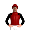 Jockey Silk