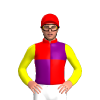 Jockey Silk