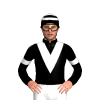 Jockey Silk